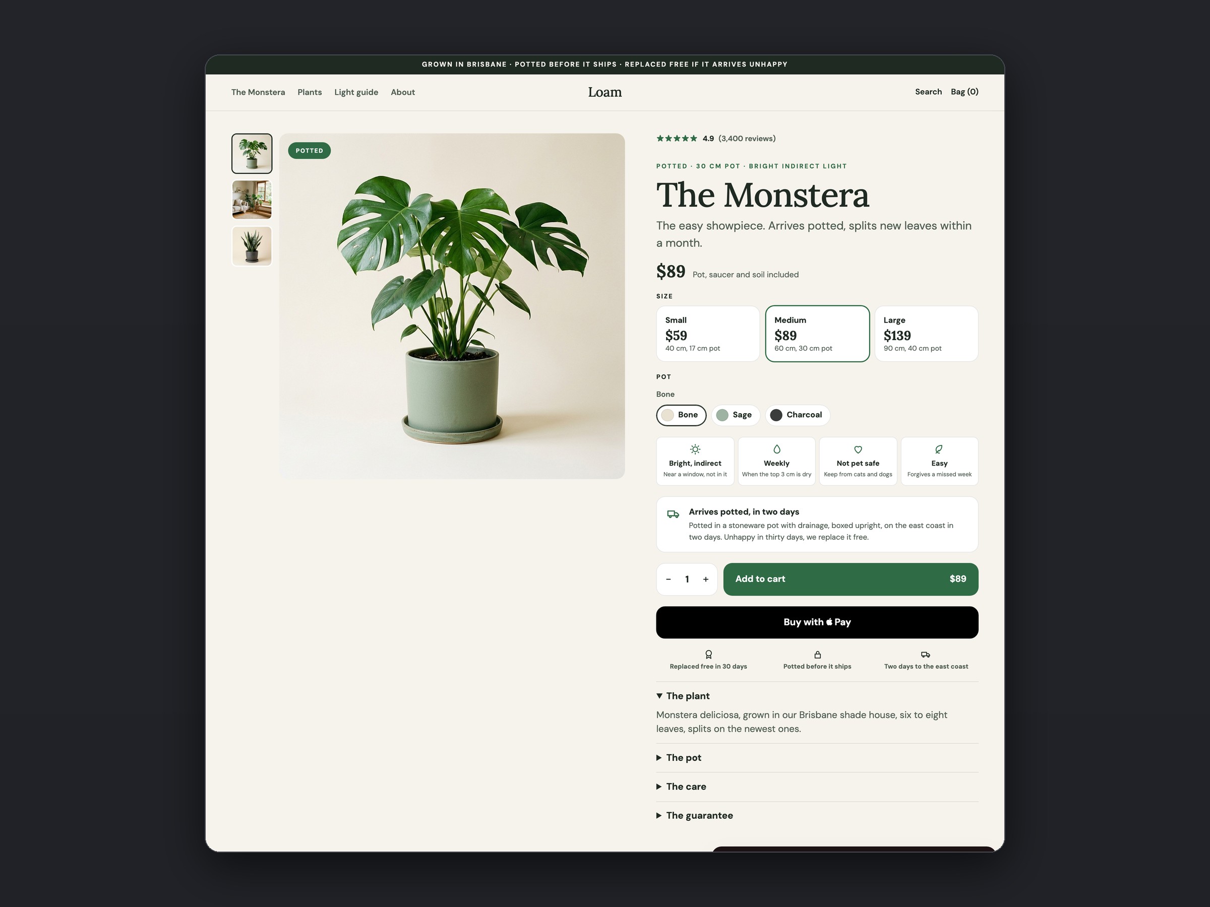 Loam store, a second page