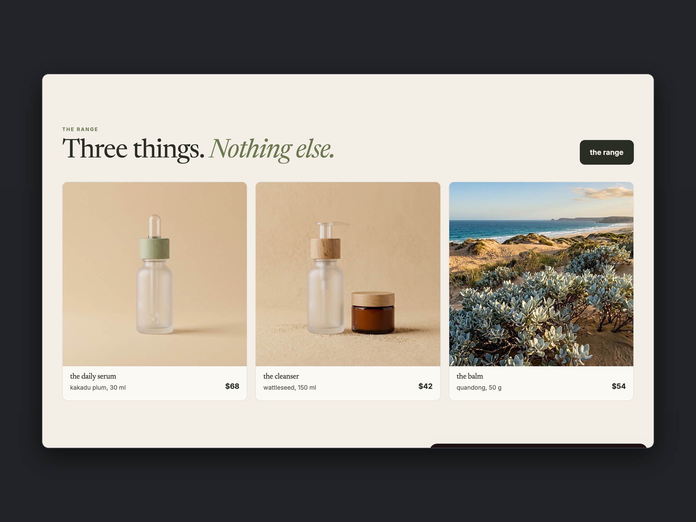 Saltbush store, a section
